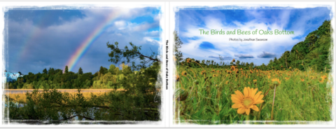 Birds and Bees of Oaks Bottom book cover